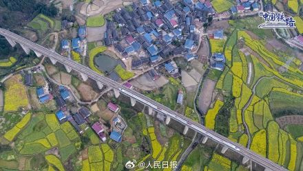 列车花海同框自带氛围感