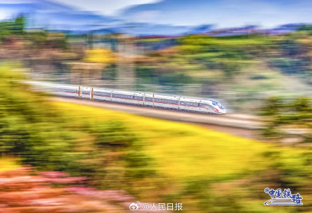 列车花海同框自带氛围感