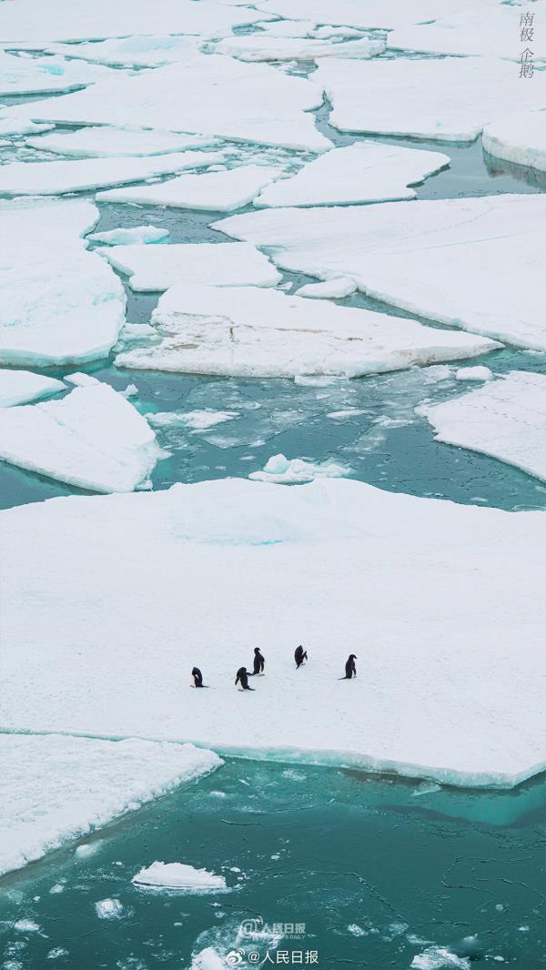 雪龙号和雪龙2号回到北半球，一组壁纸和南极说再见