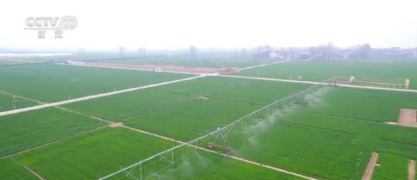 “精准灌溉”冬小麦喝足“解渴水” 新技术“大显身手”夯实粮食丰收基础