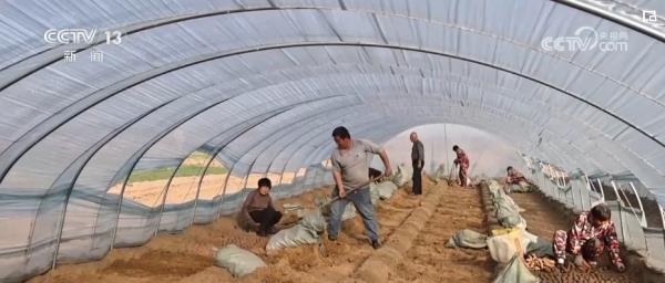 “精准灌溉”冬小麦喝足“解渴水” 新技术“大显身手”夯实粮食丰收基础