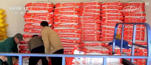 “精准灌溉”冬小麦喝足“解渴水” 新技术“大显身手”夯实粮食丰收基础