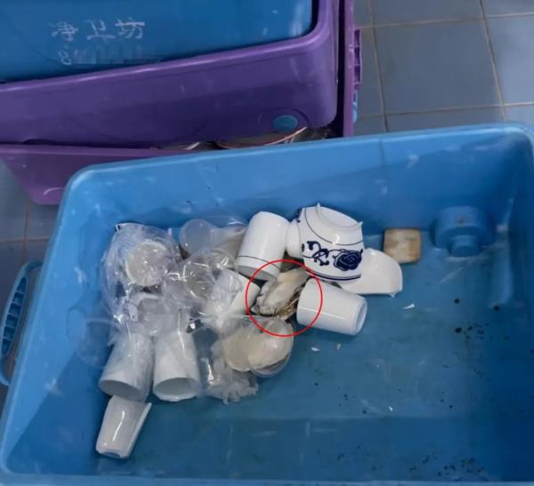 看吐了！这一幕曝光，太离谱...