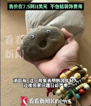 新奇!很多人把石头当宠物养!什么感觉? 新奇!很多人把石头当宠物养!什么感觉?