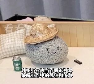 新奇!很多人把石头当宠物养!什么感觉? 新奇!很多人把石头当宠物养!什么感觉?