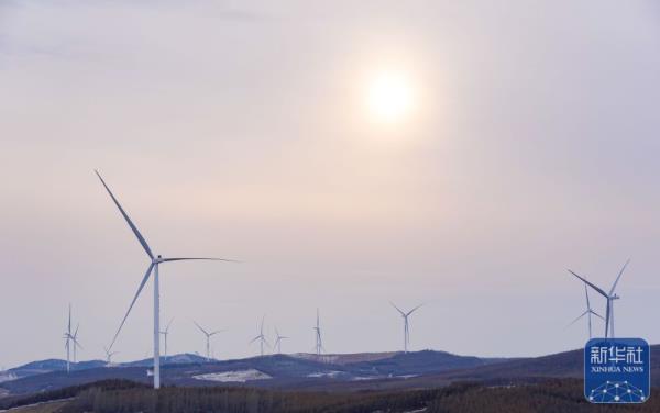 黑龙江最大风电场全面投运