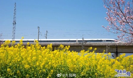 开往春天！春日花海与列车同框好浪漫
