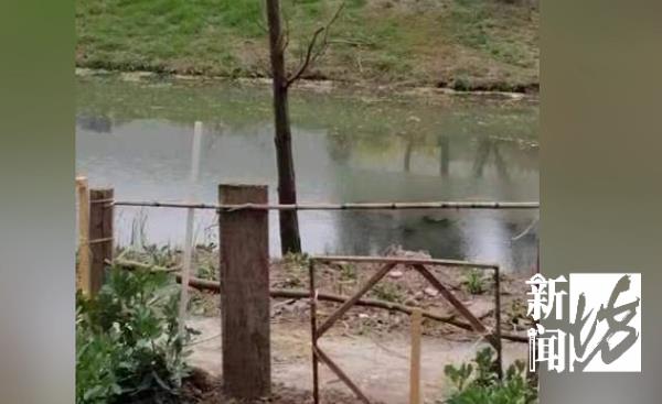 上海一小区墙外惊现新坟,落葬后家属失联,附近居民:瘆得慌! 上海一小区墙外惊现新坟,落葬后家属失联,附近居民:瘆得慌!