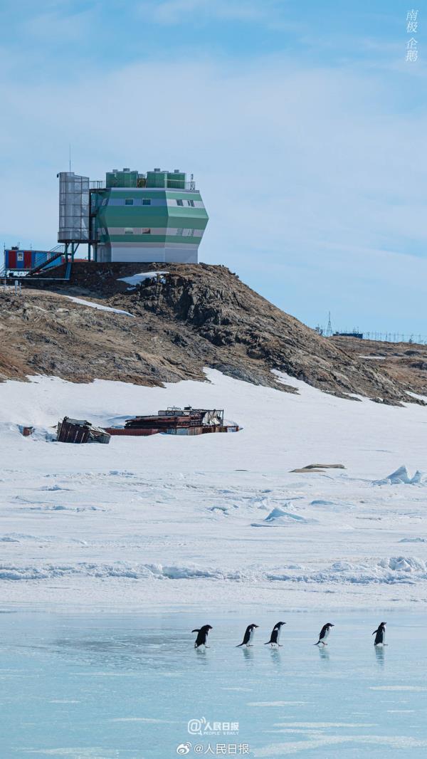 雪龙号和雪龙2号回到北半球，一组壁纸和南极说再见