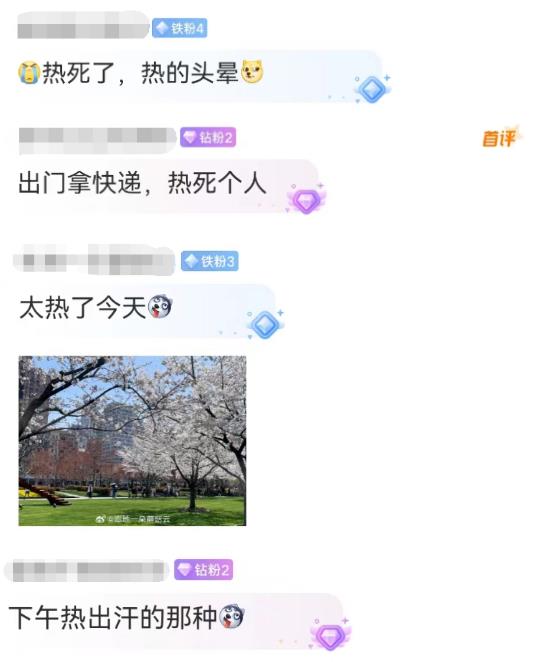 28℃！周末春光大好，上海局地拥堵高峰预警！还有件事要抓紧→