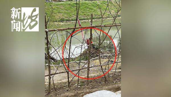 沪一小区墙外一夜之间惊现坟头，至今无人认领