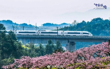 开往春天！春日花海与列车同框好浪漫