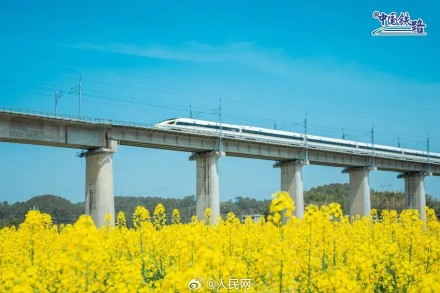 开往春天！春日花海与列车同框好浪漫