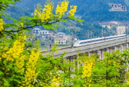 开往春天！春日花海与列车同框好浪漫