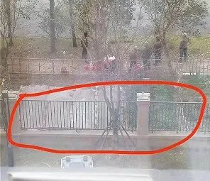 上海一小区墙外惊现新坟,落葬后家属失联,附近居民:瘆得慌! 上海一小区墙外惊现新坟,落葬后家属失联,附近居民:瘆得慌!