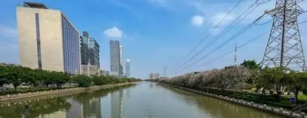 广州官宣入夏!迎1961年以来“最早夏天” 广州官宣入夏!迎1961年以来“最早夏天”