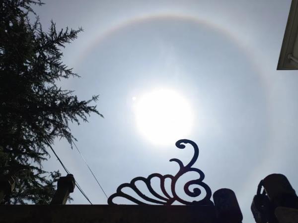今天申城天空出现美丽日晕,你看到了吗? 今天申城天空出现美丽日晕,你看到了吗?