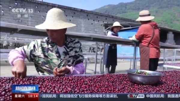 教育部发布24种本科新增专业 今年高考开始试点招生