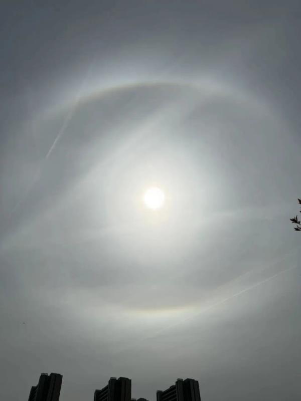 今天申城天空出现美丽日晕,你看到了吗? 今天申城天空出现美丽日晕,你看到了吗?