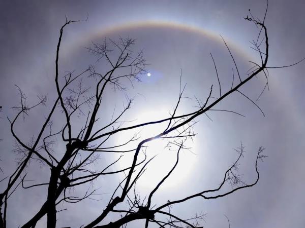 今天申城天空出现美丽日晕,你看到了吗? 今天申城天空出现美丽日晕,你看到了吗?