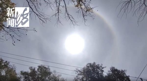 “阳春三月,要中暑了!”上海一片全红 今天还有神奇的一幕 “阳春三月,要中暑了!”上海一片全红 今天还有神奇的一幕