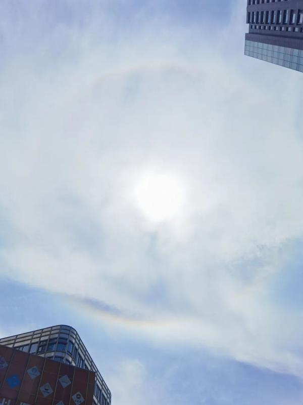 今天申城天空出现美丽日晕,你看到了吗? 今天申城天空出现美丽日晕,你看到了吗?