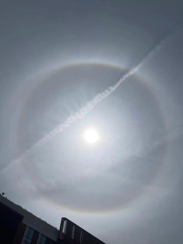 今天申城天空出现美丽日晕,你看到了吗? 今天申城天空出现美丽日晕,你看到了吗?