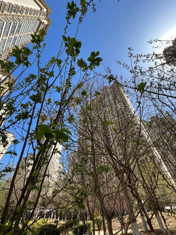 阵雨或雷阵雨,猛降10℃!河北冷空气将上线 阵雨或雷阵雨,猛降10℃!河北冷空气将上线