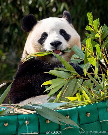 福宝超可爱自拍九宫格，你爱了吗？