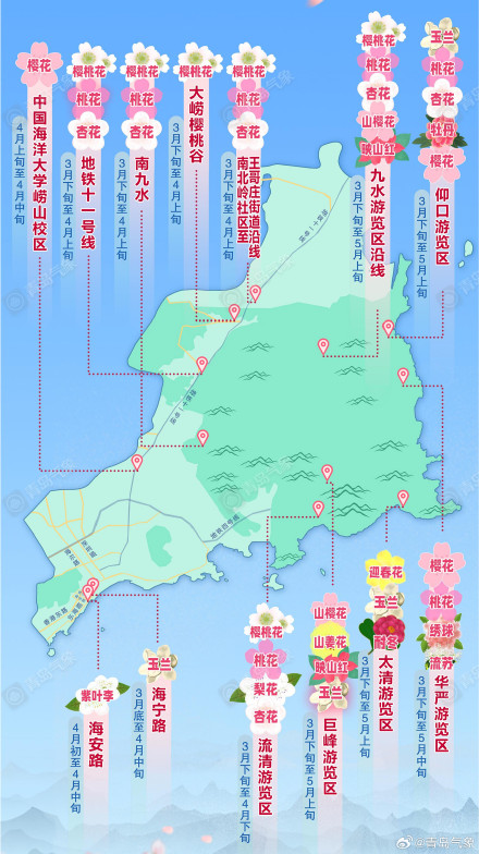 2024花海崂山春季赏花地图 2024花海崂山春季赏花地图