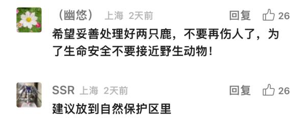 上海这头攻击人的"暴躁公鹿"抓到了!怀孕母鹿逃走… 上海这头攻击人的"暴躁公鹿"抓到了!怀孕母鹿逃走…