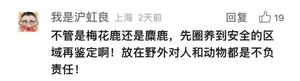 上海这头攻击人的"暴躁公鹿"抓到了!怀孕母鹿逃走… 上海这头攻击人的"暴躁公鹿"抓到了!怀孕母鹿逃走…