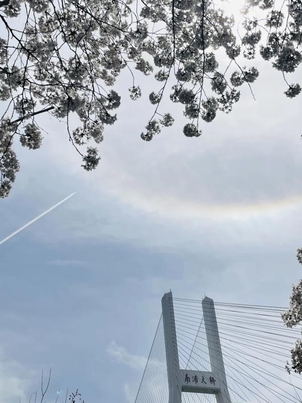 今天申城天空出现美丽日晕,你看到了吗? 今天申城天空出现美丽日晕,你看到了吗?