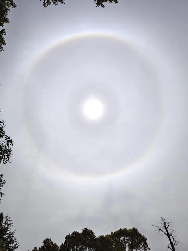 今天申城天空出现美丽日晕,你看到了吗? 今天申城天空出现美丽日晕,你看到了吗?