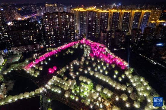 湖南长沙：浪漫夜樱引客来