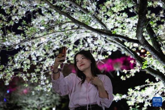 湖南长沙：浪漫夜樱引客来