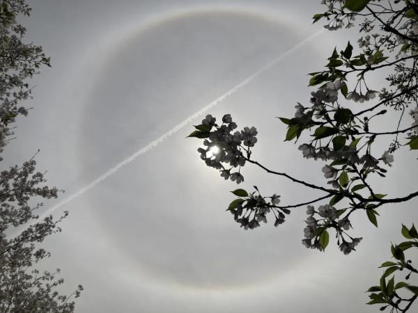 今天申城天空出现美丽日晕,你看到了吗? 今天申城天空出现美丽日晕,你看到了吗?