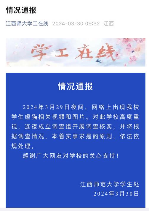大学男生宿舍虐猫，江西师大通报：连夜成立调查组