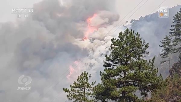 焦点访谈丨严防小火酿大祸!清明前后怎么严防森林火灾? 焦点访谈丨严防小火酿大祸!清明前后怎么严防森林火灾?