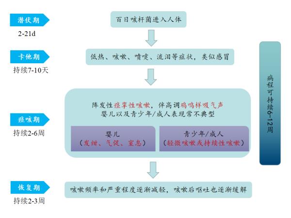 登上热搜第一!这种传染病今年已致13人死亡,症状早期像感冒 登上热搜第一!这种传染病今年已致13人死亡,症状早期像感冒