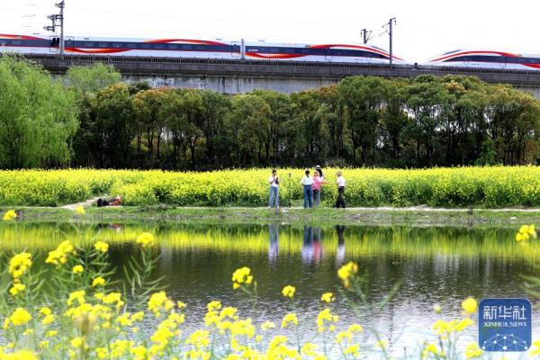 花开神州春光好