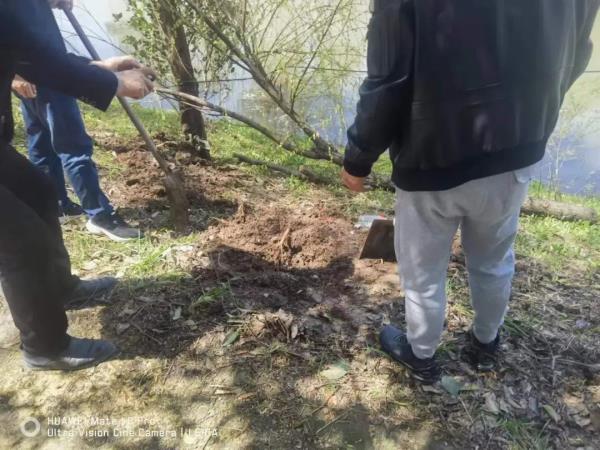 小区外突然多了座坟，家属磕完头消失了……后续来了