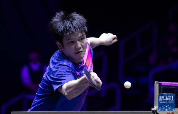 乒乓球丨仁川冠军赛:樊振东无缘男单决赛 乒乓球丨仁川冠军赛:樊振东无缘男单决赛