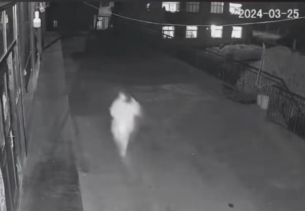 13岁女孩称帮同学取快递,已失踪7天!当晚监控显示她突然奔跑 13岁女孩称帮同学取快递,已失踪7天!当晚监控显示她突然奔跑