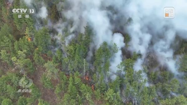 焦点访谈丨严防小火酿大祸!清明前后怎么严防森林火灾? 焦点访谈丨严防小火酿大祸!清明前后怎么严防森林火灾?