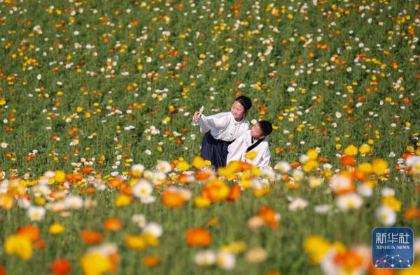 花开神州春光好