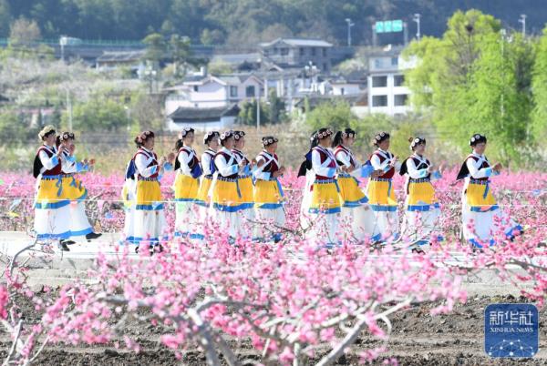 花开神州春光好