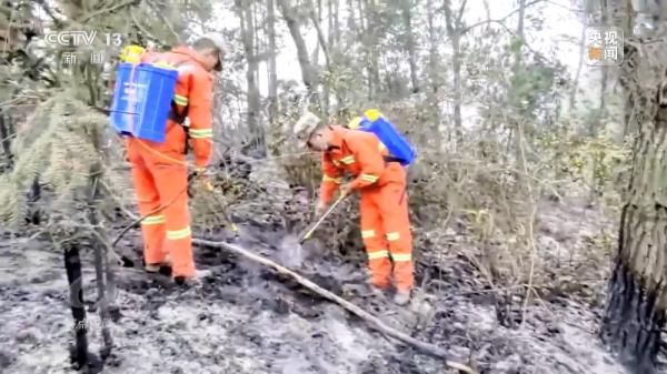 焦点访谈丨严防小火酿大祸!清明前后怎么严防森林火灾? 焦点访谈丨严防小火酿大祸!清明前后怎么严防森林火灾?