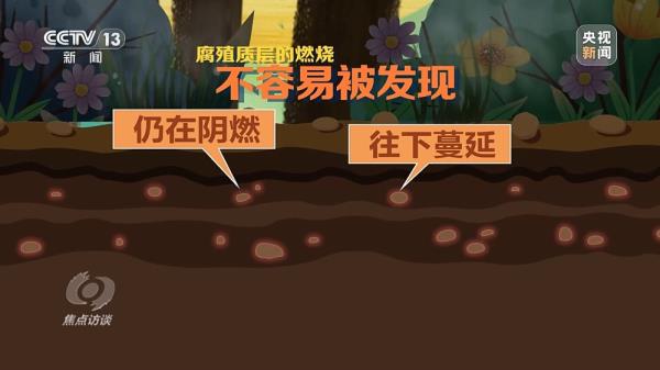 焦点访谈丨严防小火酿大祸!清明前后怎么严防森林火灾? 焦点访谈丨严防小火酿大祸!清明前后怎么严防森林火灾?