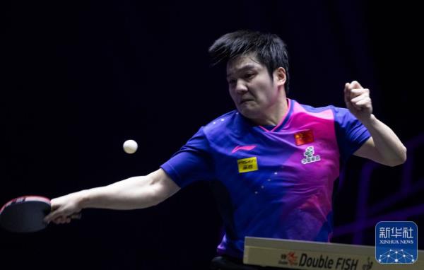 乒乓球丨仁川冠军赛:樊振东无缘男单决赛 乒乓球丨仁川冠军赛:樊振东无缘男单决赛